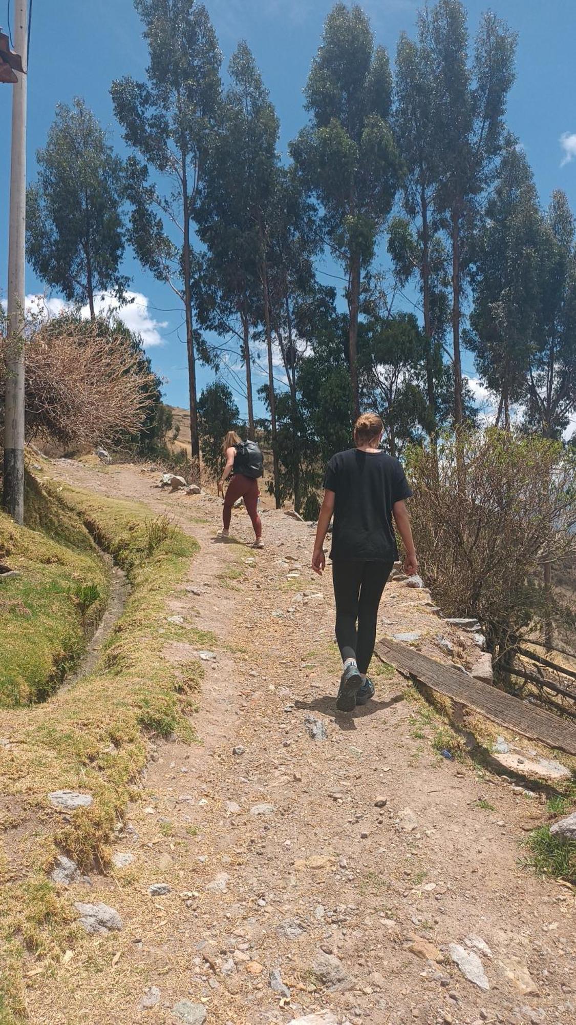 El Amauta De Los Andes Lodging Erik House ワラス エクステリア 写真